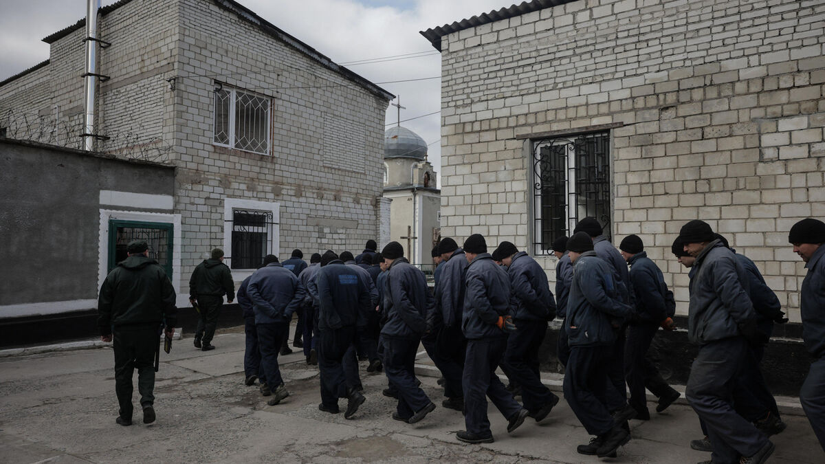 prisonniers - Guerre en Ukraine : Kiev et Moscou échangent 372 prisonniers de guerre après l'appel entre Trump et Poutine