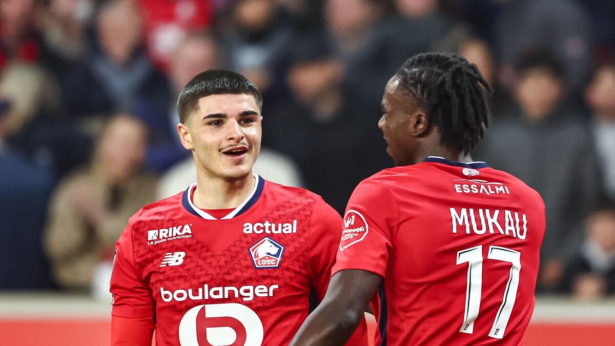Dogues - Lille-Lens (1-0) : Sans Montrer Les Crocs, Les Dogues S'offrent Le Derby Contre Des Lensois Trop Dociles