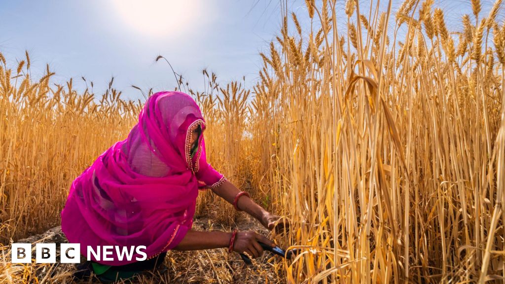 été - Le début de l'été pourrait annoncer des difficultés pour les fermes et les usines en Inde
