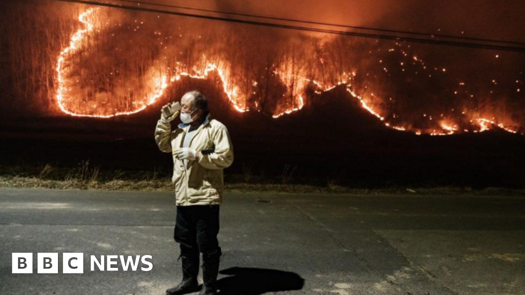 incendies - Pourquoi les incendies de forêt en Corée du Sud ont-ils été si dévastateurs ?