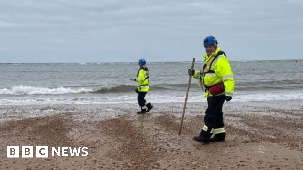 nurdles - Des 'nurdles' en plastique échoués après une collision de navires