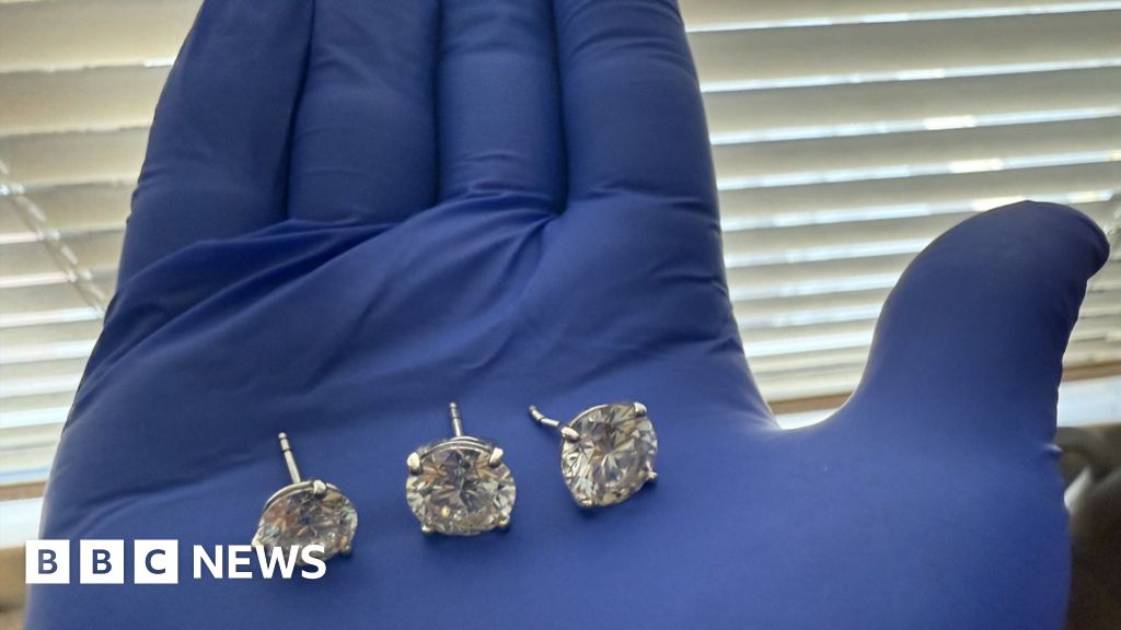 Boucles - Des Boucles d'Oreilles d'une Valeur de 769 500 $ Récupérées par la Police de Floride Après qu'un Voleur Présumé les A Avalées