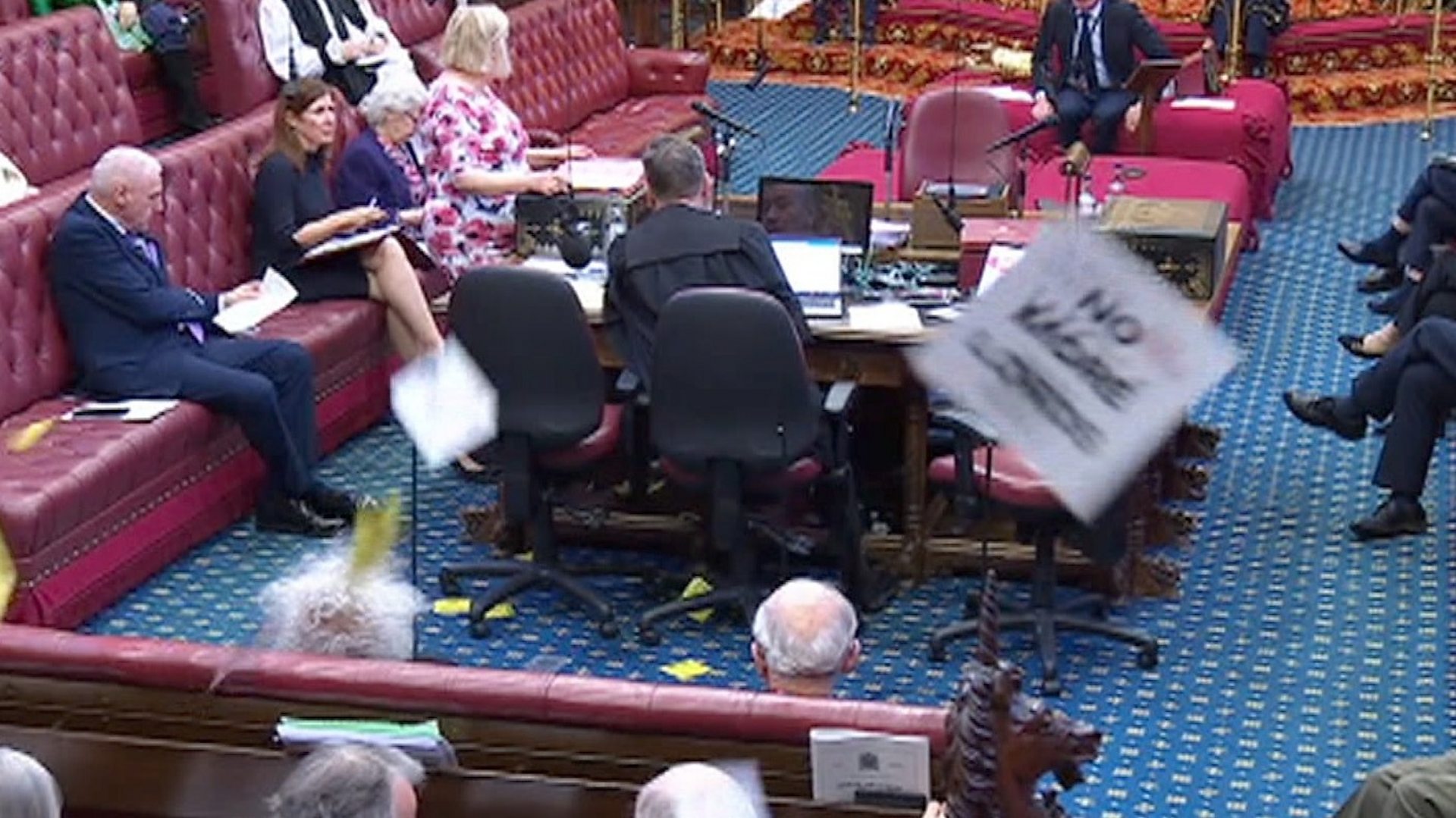 manifestants - Regardez : Des manifestants perturbent la Chambre des Lords