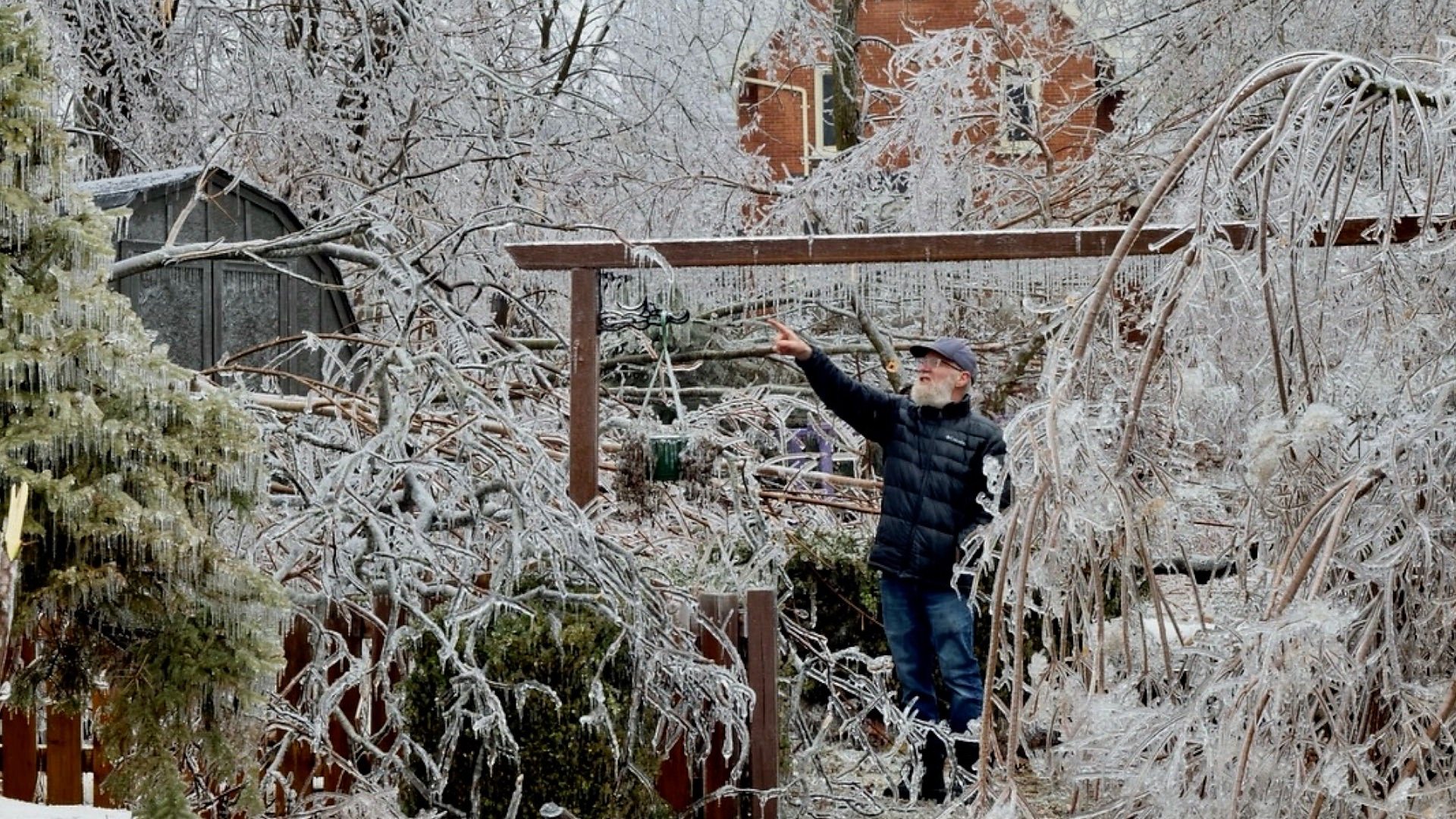 arbres - Regardez : des arbres gelés se brisent lors de la tempête de verglas en Ontario