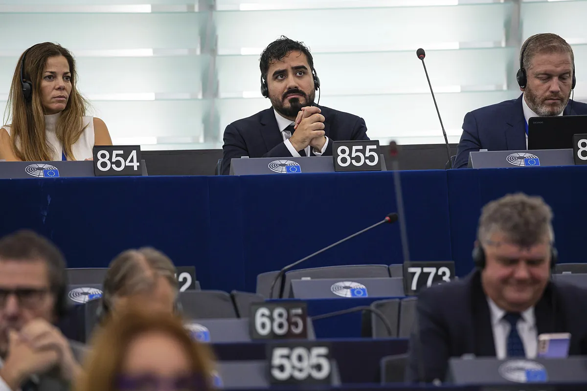 écureuils - Alvise suggère que ses deux eurodéputés auraient pu être "achetés" par des lobbies et dévoile la division : "Nous ne respectons pas celles qui se déguisent en écureuils et sont des loups"