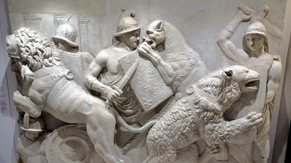 gladiateurs - Les gladiateurs romains combattaient-ils vraiment des animaux ? Celui-ci a les marques de morsure pour le prouver.
