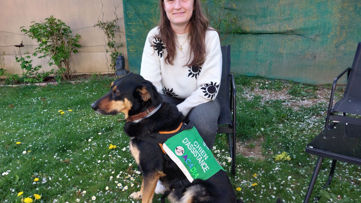 chienne - « Ma chienne est plus fiable que la technologie » : la vie de Maylis, diabétique, repose sur le flair de Shaka.