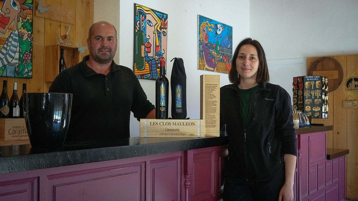 vins - « Rien à envier aux grands vins » : le pari audacieux des vignerons de Caramany qui vendent des bouteilles à 145 €