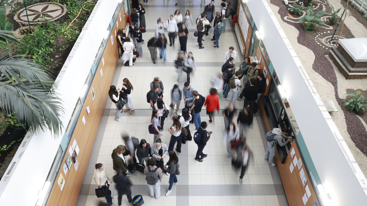 Lycées - Palmarès des Lycées 2025 : À La Ciotat, le « méd » ou l'excellence pour tous ?