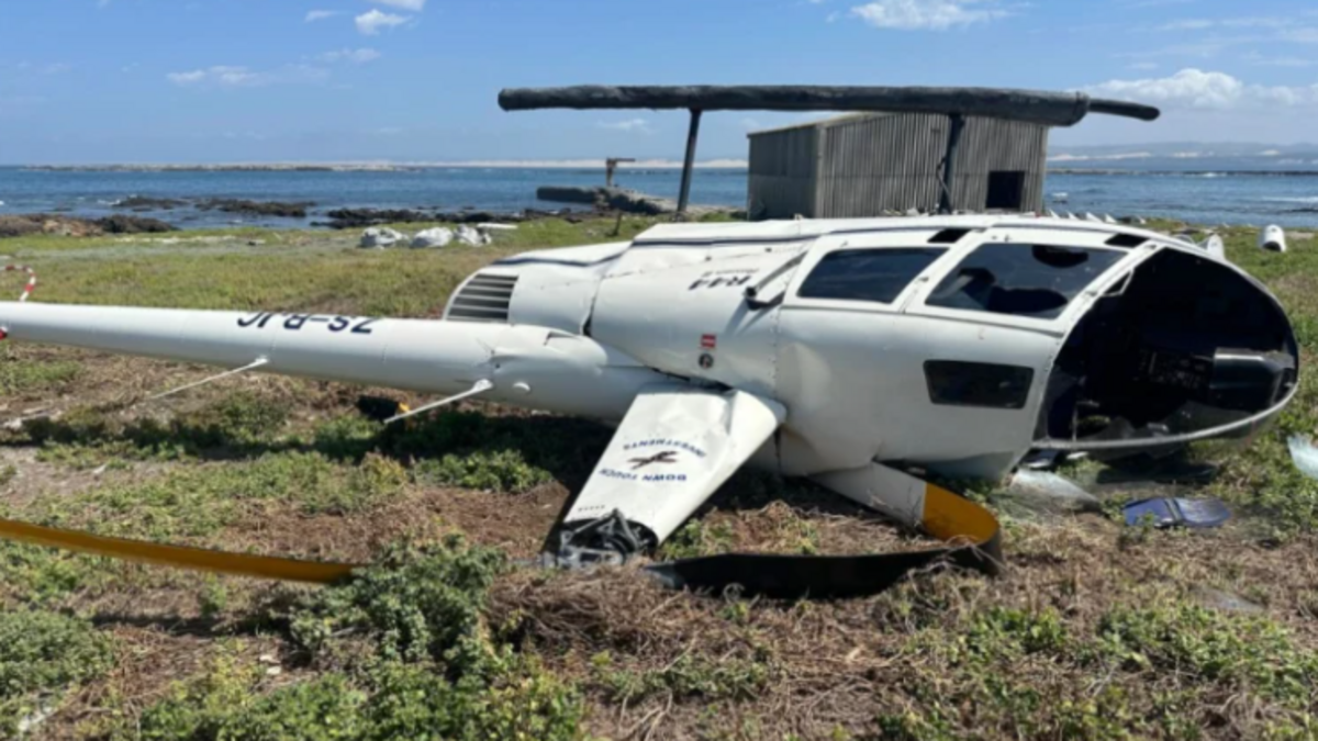 accident - « Il a glissé vers la droite » : Comment un pingouin a causé un accident d'hélicoptère en Afrique du Sud ?