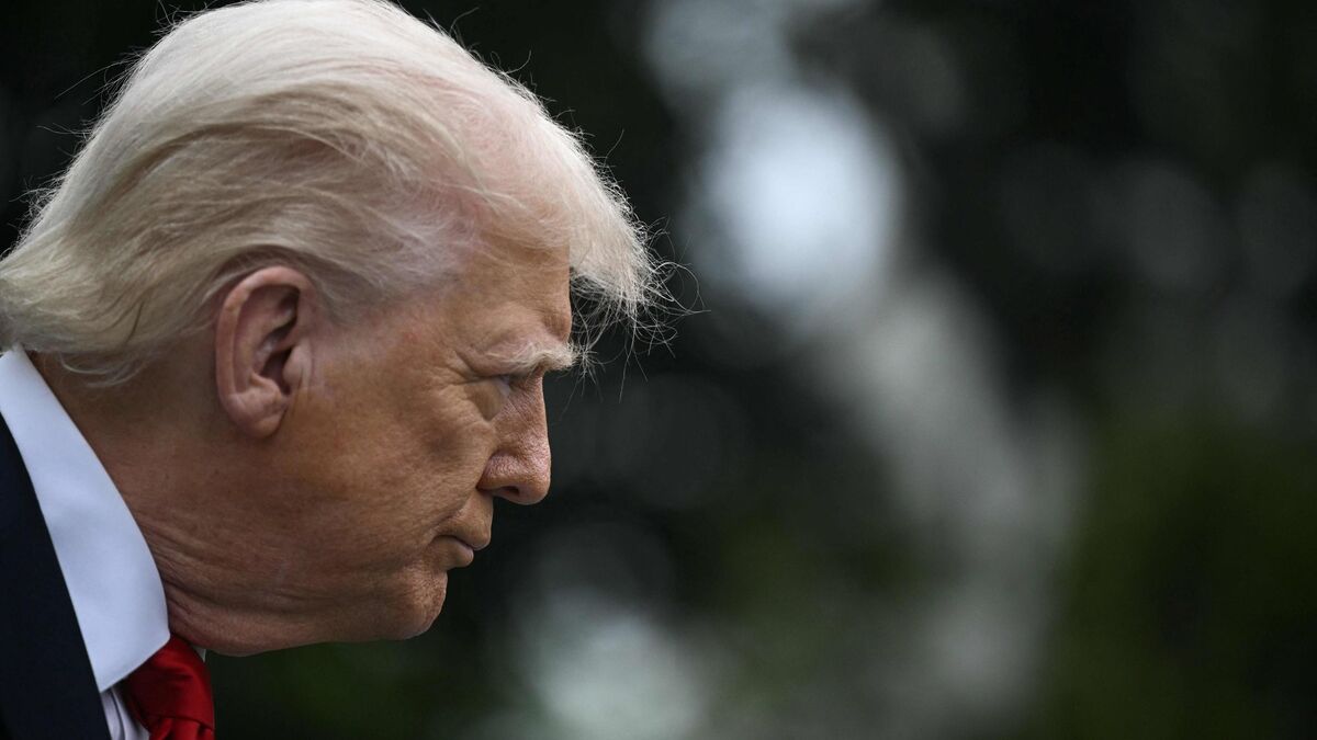Pape - Mort du Pape François : Donald Trump assistera aux obsèques