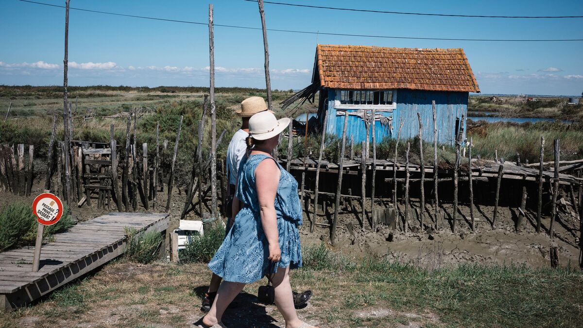 Airbnb - Taxe de séjour : Airbnb condamné en appel à verser 8,6 millions d’euros à l’île d'Oléron