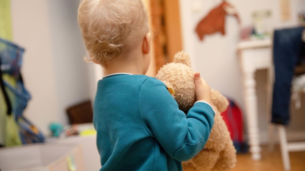 jouets - « Un Signal Fort » : Les jouets contenant des PFAS ou des perturbateurs endocriniens bientôt interdits dans l'Union européenne ?