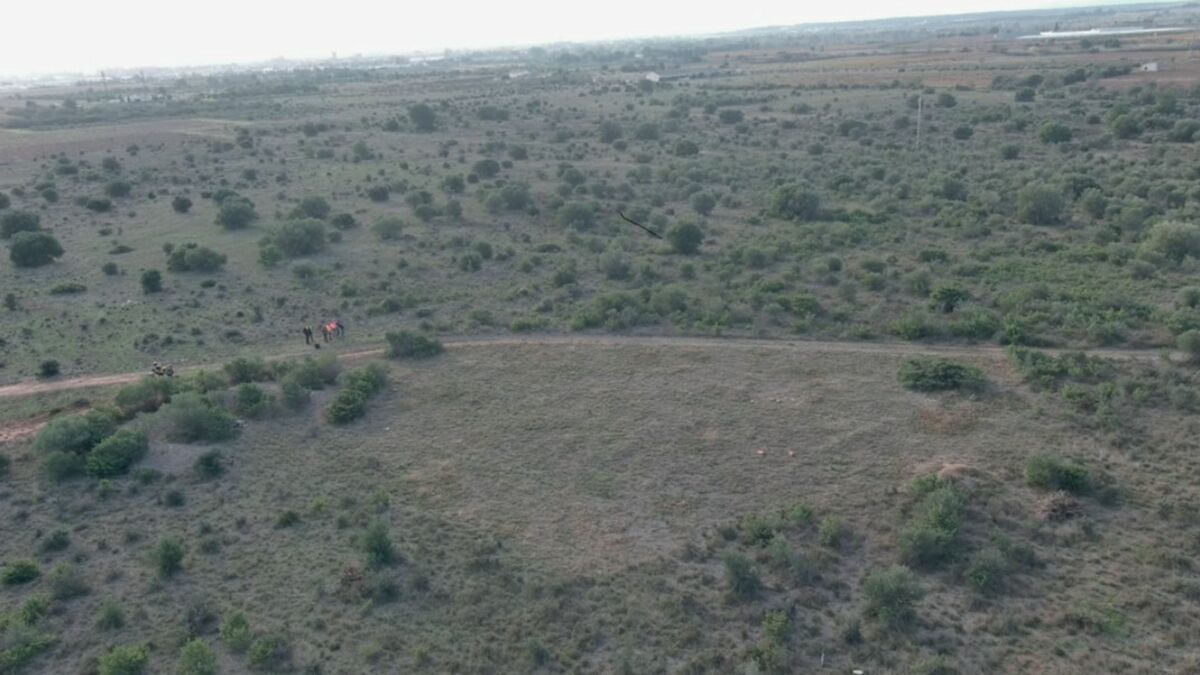 cimetière - « Un cimetière effacé du paysage » : que révèle le rapport sur les Harkis de Rivesaltes ?