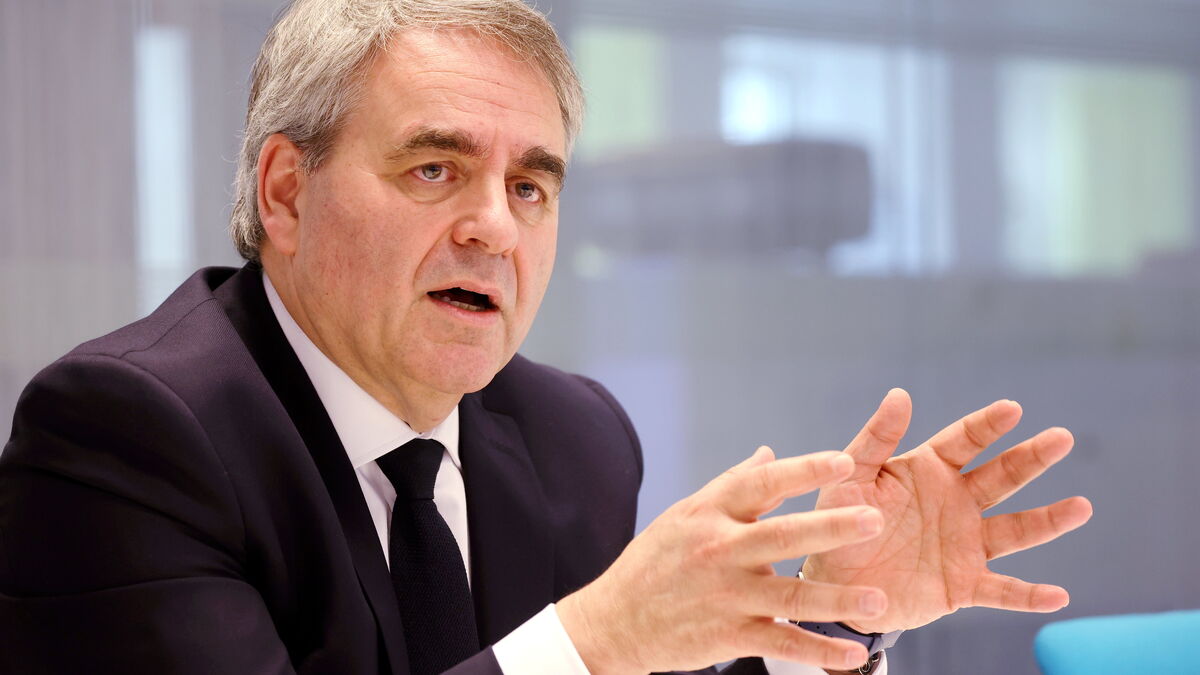 Loi - Xavier Bertrand Estime Qu'Une Loi Pour « Sauver Marine Le Pen » Est « Impensable »