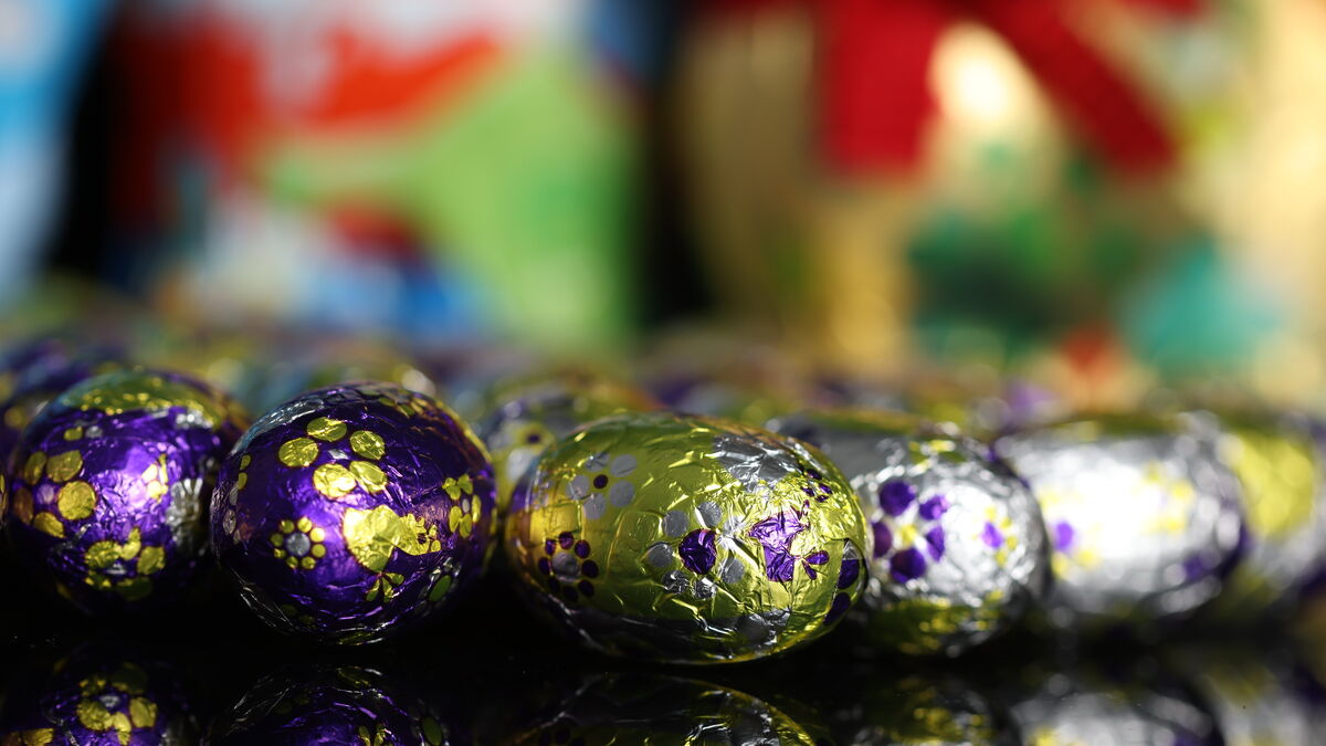 chocolats - Lapins, poules, œufs… Pourquoi les prix des chocolats flambent-ils pour Pâques à cause des cours du cacao ?