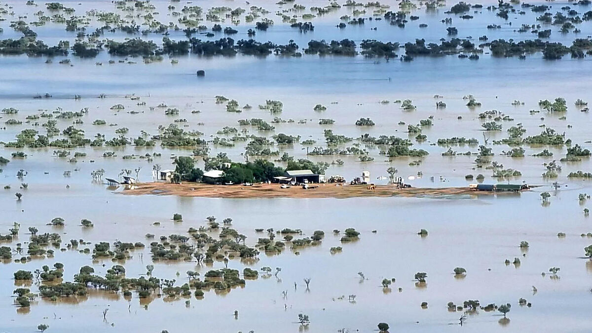 inondations - En Australie, des milliers de vaches, chevaux et moutons sont morts à cause de vastes inondations