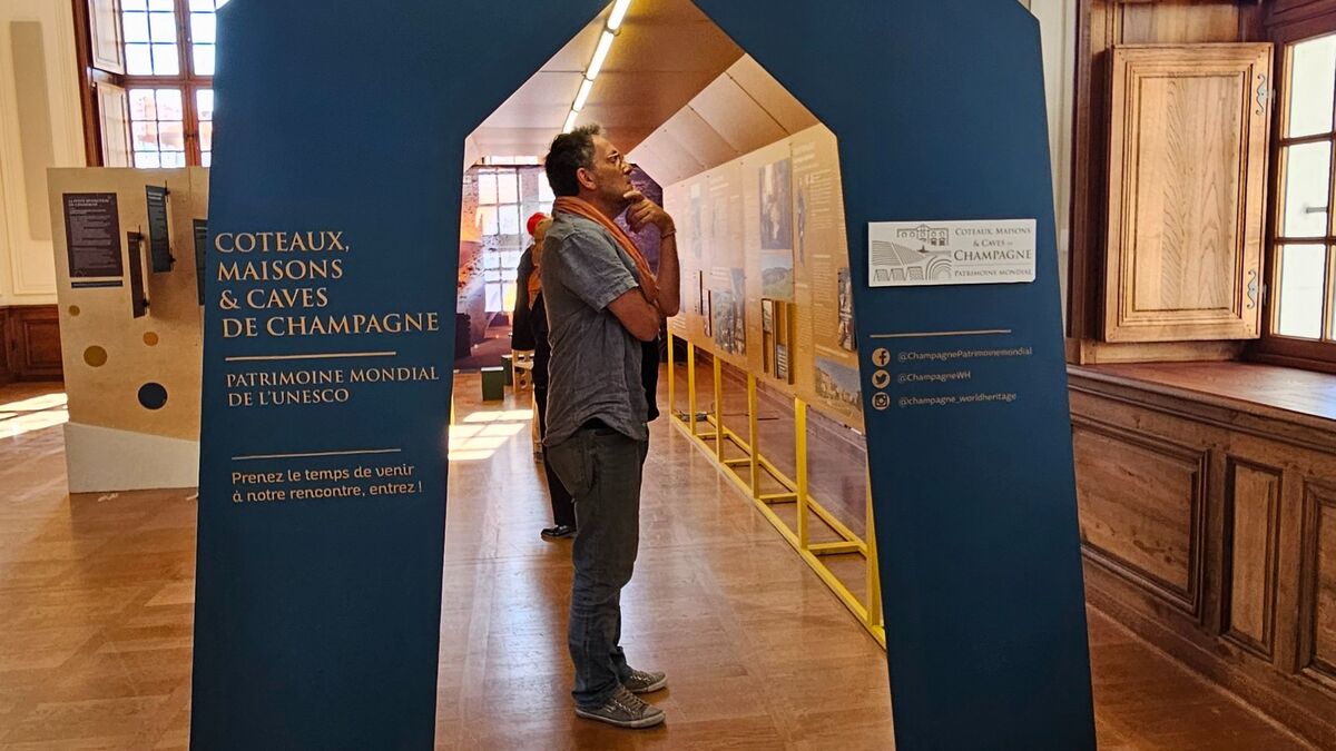 Champagne - À Troyes, l’exposition « ma Champagne Au Patrimoine Mondial » Offre Une Immersion Dans Le Patrimoine Champenois