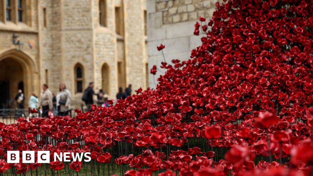 coquelicots - Des coquelicots envahissent la Tour de Londres pour commémorer le jour du VE