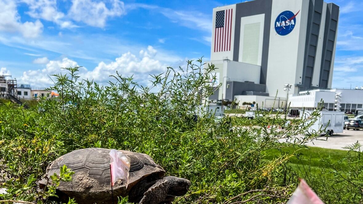 NASA - La NASA fait face à des réductions de son programme de fusées et de la station spatiale lunaire dans le budget 2026 de Trump
