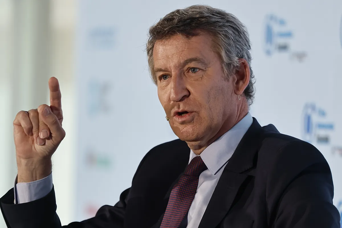 Amnistie - Le Pp Demande Au Tribunal Constitutionnel De Suspendre La Tramitación De L'Amnistie Jusqu'à Ce Que L'Europe S'Exprime
