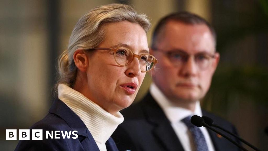 Allemagne - L'Allemagne défend la classification extrémiste de l'Afd après les critiques de Rubio sur une 'tyrannie déguisée'