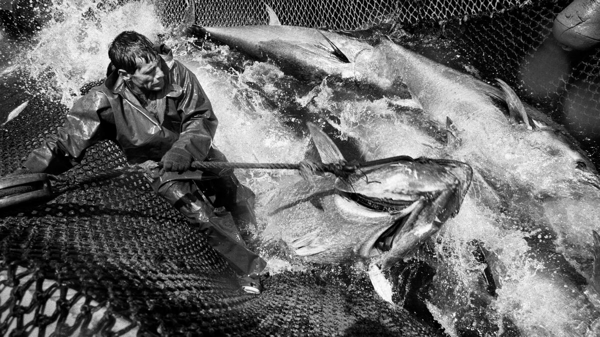 Photo - Exposition Photo au Musée de la Marine : Jean Gaumy, au Cœur de la Mer