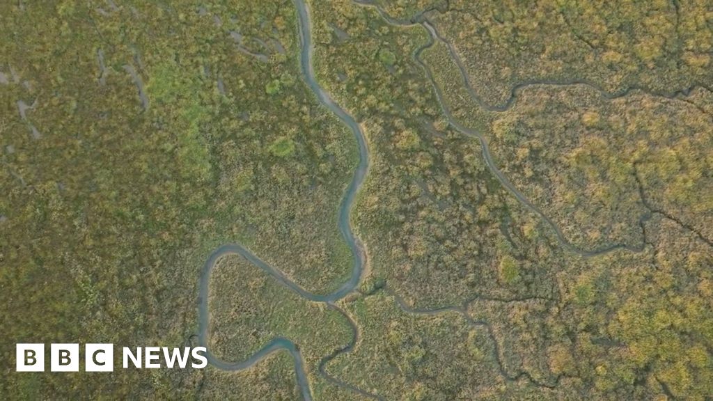 marais - Les marais salants du Royaume-Uni essentiels pour lutter contre le changement climatique, selon un rapport