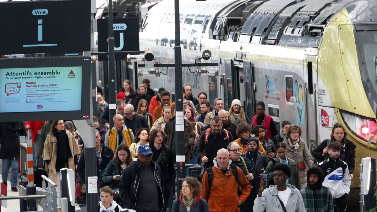 Grève - Grève SNCF : Trafic francilien perturbé, TGV épargnés... Que faut-il attendre ce mardi ?