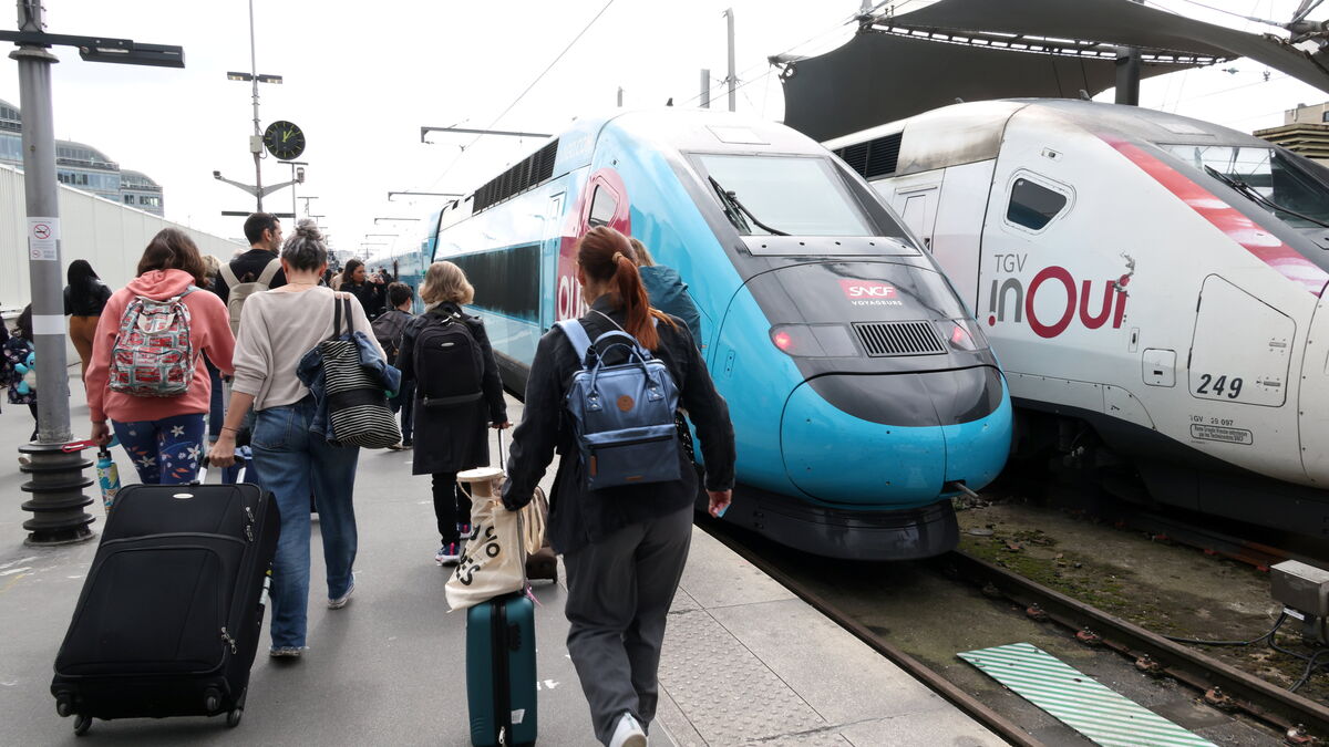 Grève - Grève à la SNCF, corps d'Agathe retrouvé, Stéphane Plaza interpellé : les informations essentielles à retenir ce midi
