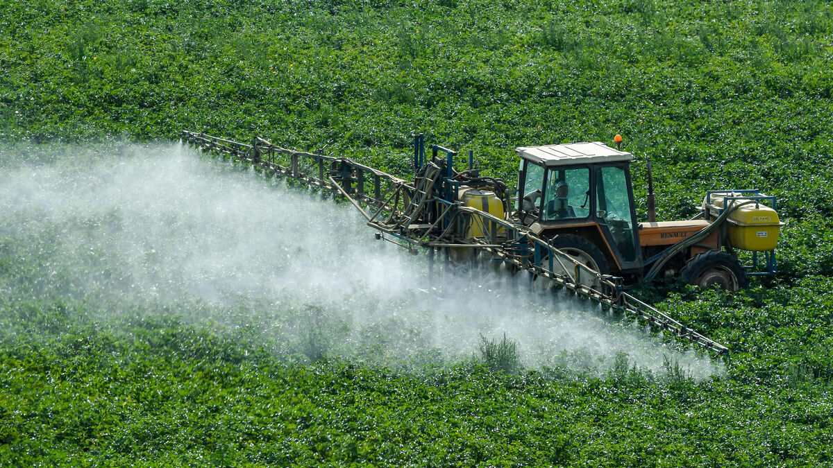 acétamipride - Colère des agriculteurs : Qu'est-ce que l'acétamipride, ce pesticide interdit depuis 2018 qui suscite tant de débats ?