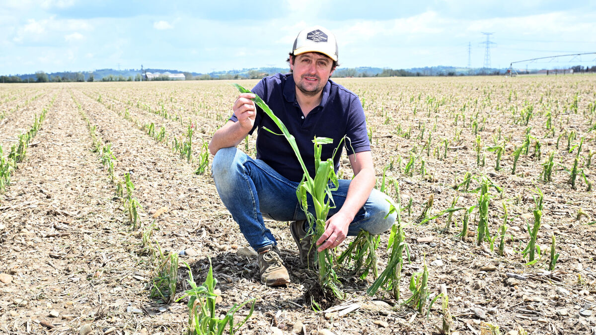 générateurs - Après les intempéries, les agriculteurs de Haute-Garonne demandent le retour des générateurs anti-grêle