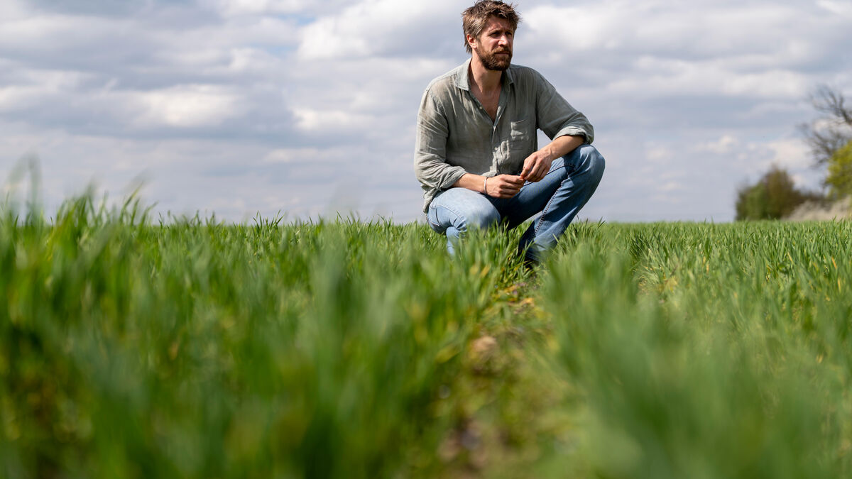 agriculture - Cet ancien banquier d’affaires souhaite révolutionner l’agriculture grâce à ses vers de terre aux super-pouvoirs.