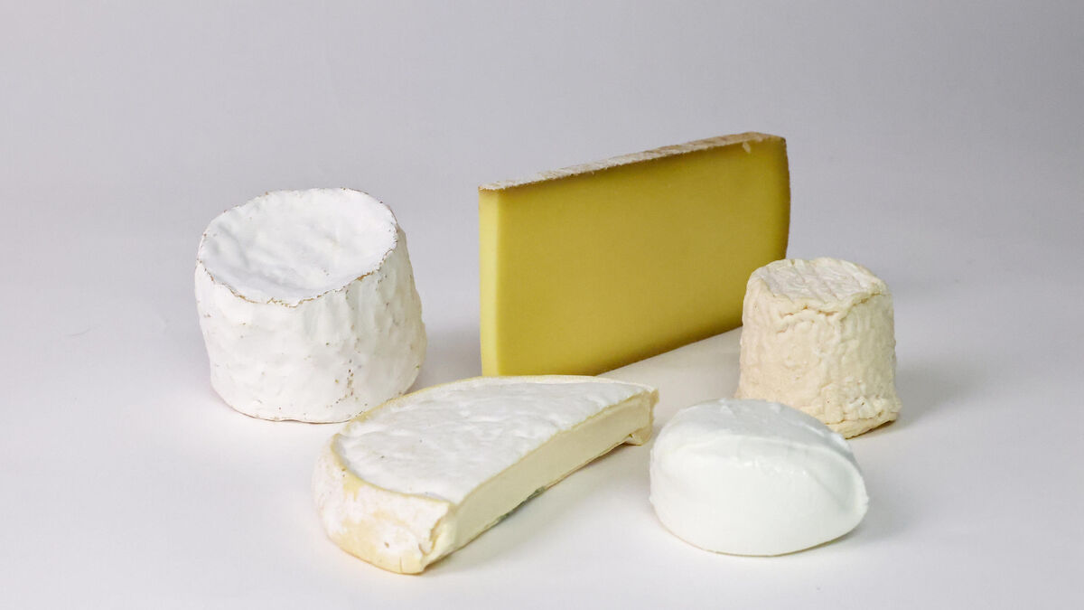 Fromages - Goût, Couleur, Texture… Comment la Qualité des Fromages Résiste au Changement Climatique ?