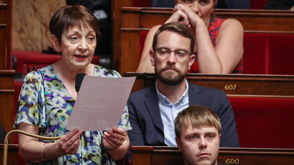Députée - La Députée LFI Andrée Taurinya condamnée pour diffamation