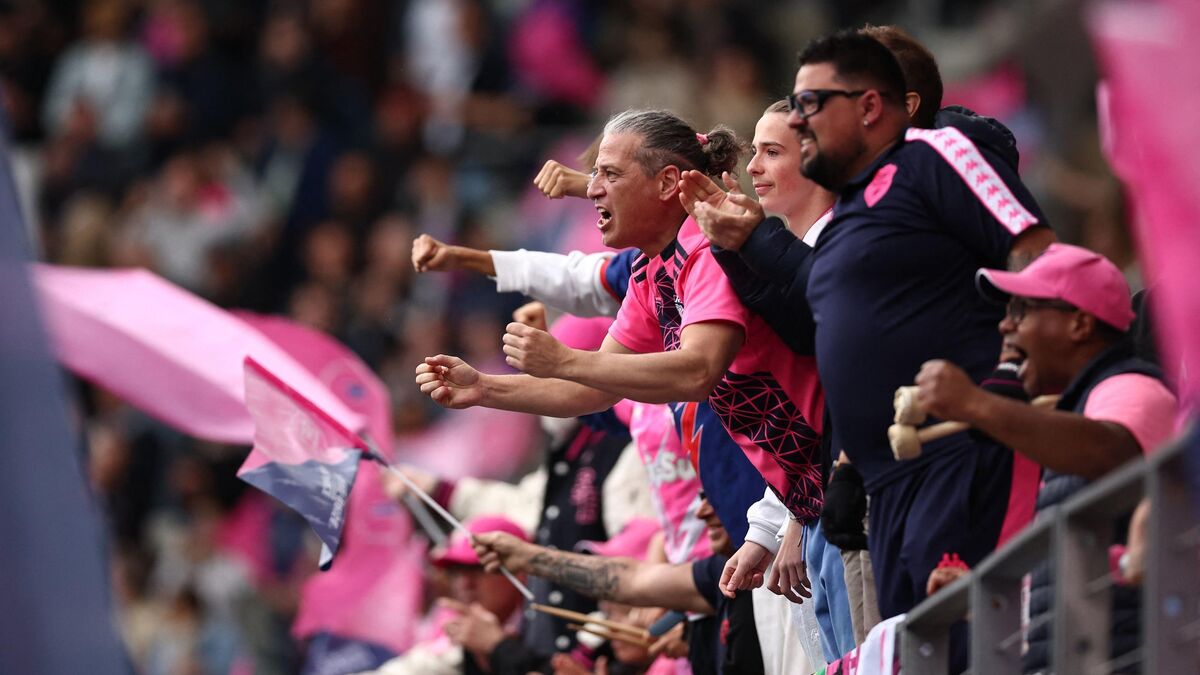 Supporters - « Notre Vie N’est Pas Toute Rose » : La Bouffée d’Oxygène des Supporters du Stade Français