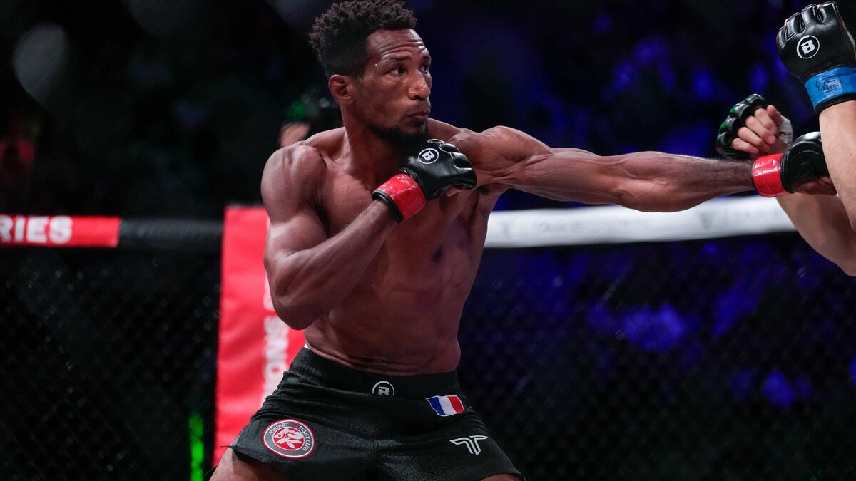 star - « T’es Ma Salope » : La star du MMA Mansour Barnaoui accusée de viol conjugal, son ex demande l'annulation de son combat à Paris