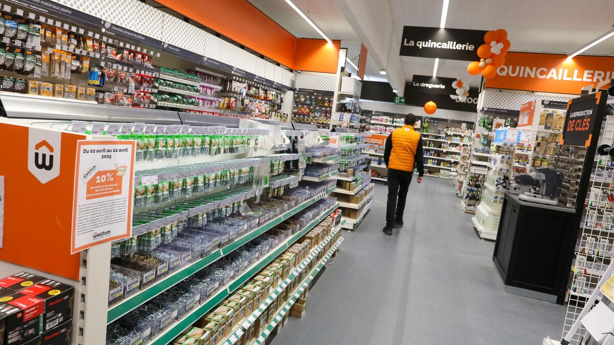 Bricolage - Weldom, Bricomarché… Les Petits Poucets du Bricolage en Action