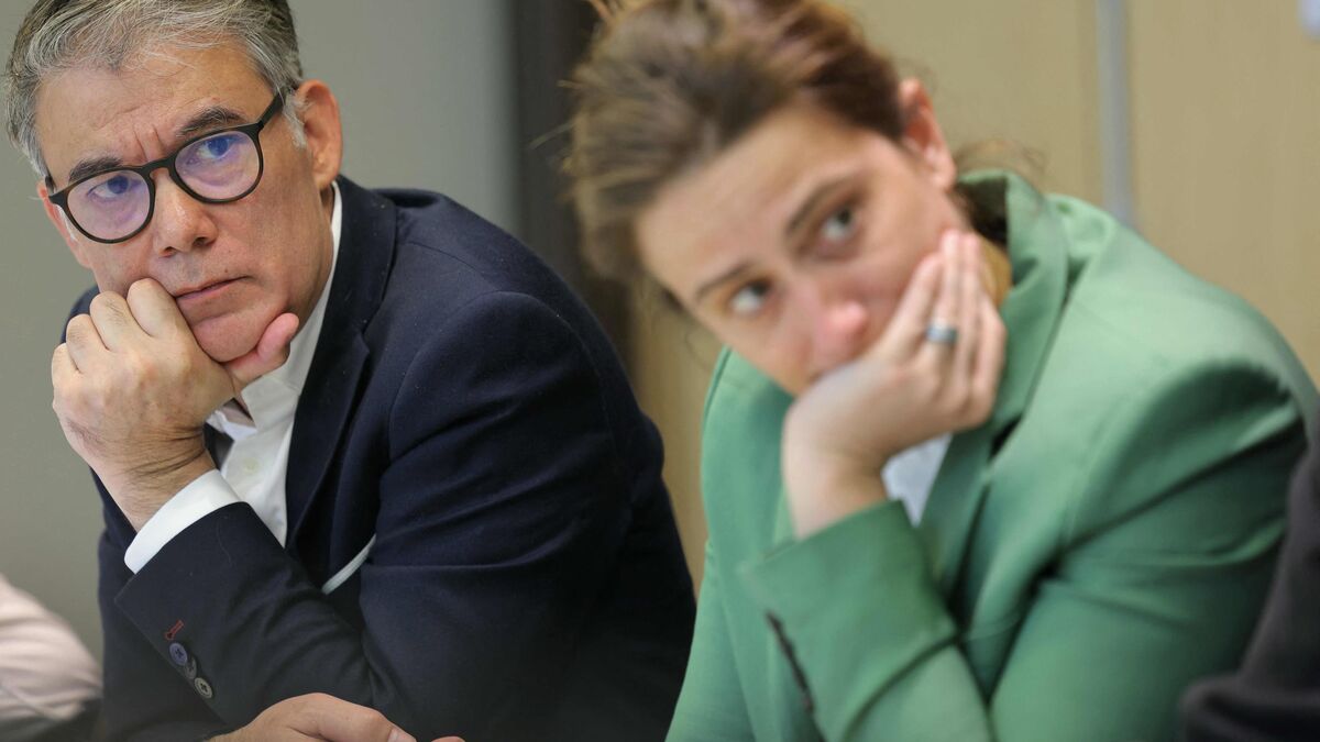 génocide - Gaza : PS, PCF et écologistes s'unissent pour dénoncer un « génocide »
