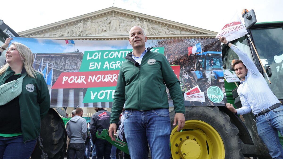 Loi - Proposition de Loi Duplomb : Comment les agriculteurs ont remporté une première victoire à l'Assemblée