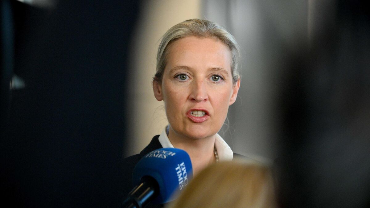 AFD - Allemagne : Levée Provisoire de l’Appellation « Extrémiste » Ciblant l'AFD