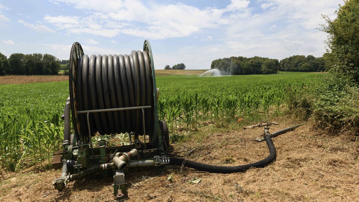 Irrigation - Irrigation Agricole : « Légalité » ou « Scandale », les nouvelles réserves sur la Boutonne sont désormais autorisées