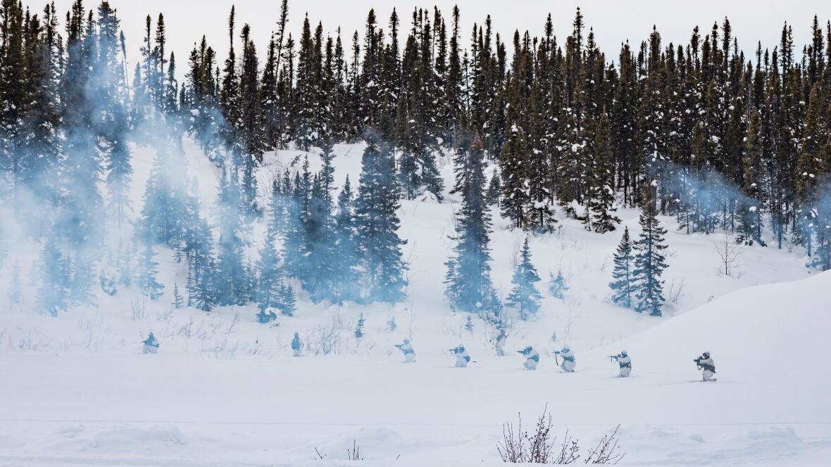 Canada - Les plans militaires du Canada pour être dans l'Arctique "sur une base presque permanente", selon le commandant
