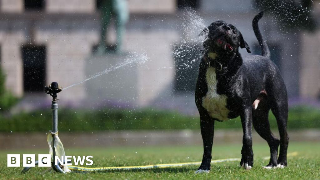Royaume-Uni - Le Royaume-Uni pourrait établir un nouveau record de chaleur avec un pic de 33 °C