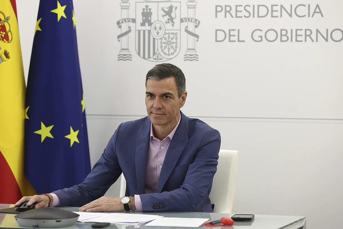 Plante - Plante A Sánchez