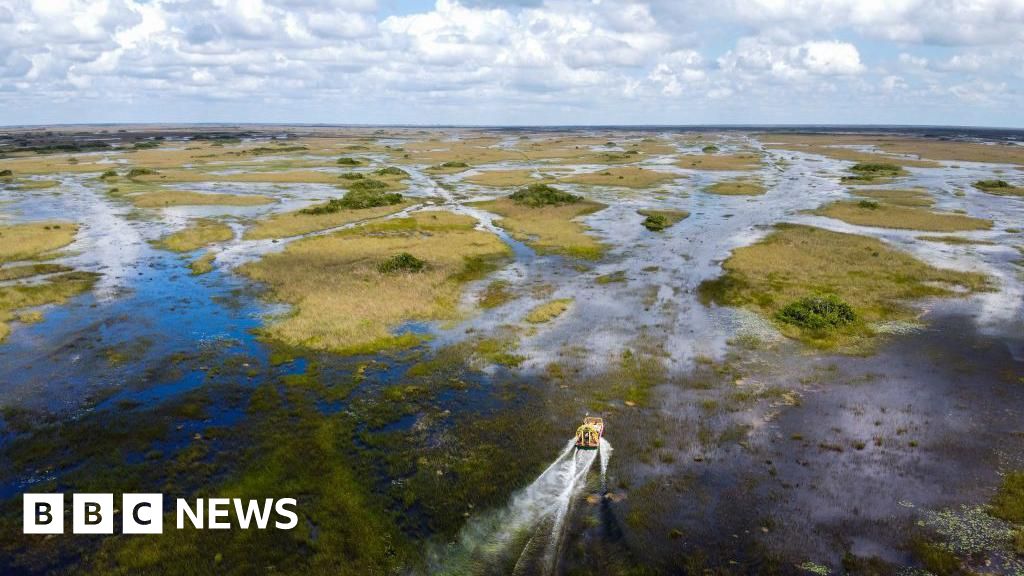 Centre - Centre de détention pour migrants en Everglades, le 'Alcatraz des alligators' de Floride