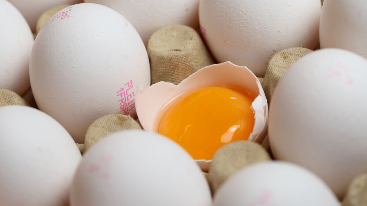 contamination - Poisson, œufs, lait, viande… Une ONG dénonce « une contamination généralisée » des aliments par des polluants éternels
