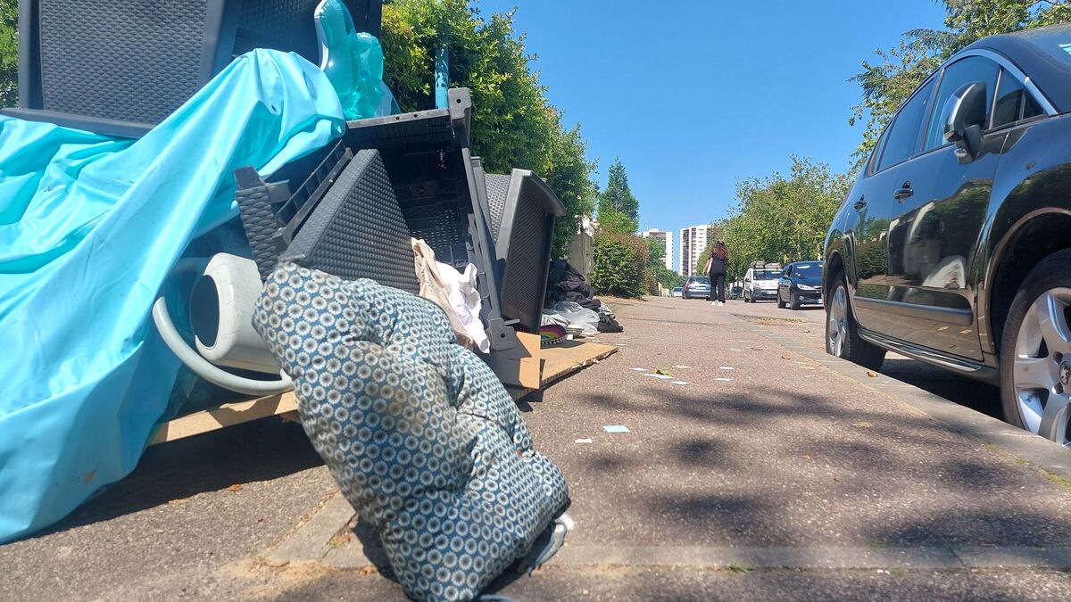 éléphants - « L’équivalent de 624 éléphants ramassés » : à Mantes-la-Jolie, le ras-le-bol du maire face aux dépôts sauvages