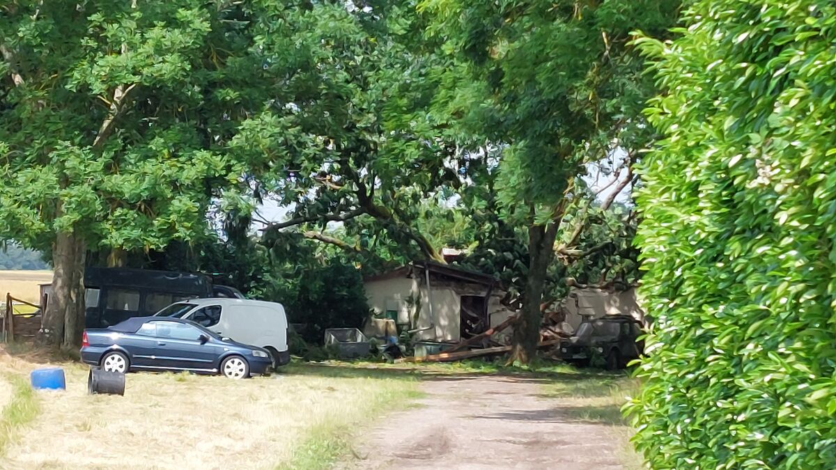 Yvelines - Orages dans les Yvelines : Un frêne s'abat sur le pavillon de chasse, la soirée tourne au drame