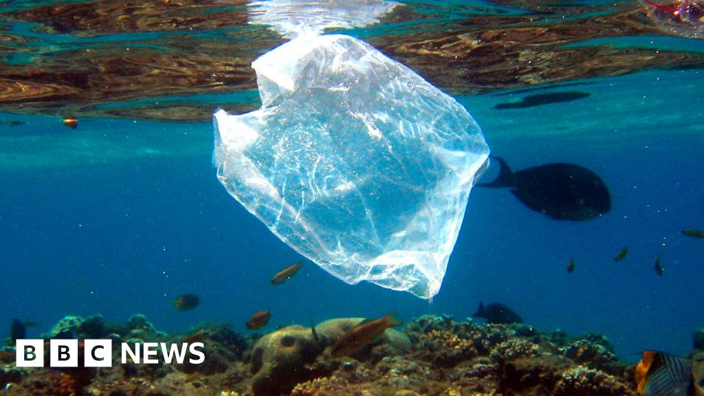 sacs - Les interdictions et les frais sur les sacs en plastique réduisent les déchets sur les côtes américaines, selon une étude